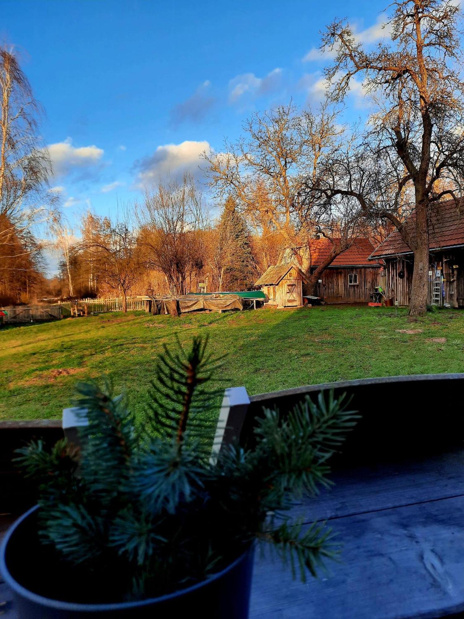 Liljas Haus Im Spreewald Apartment Burg  Exterior photo